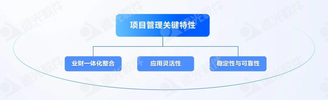 DAP专题 | 项目管理：集团企业的高效运营引擎