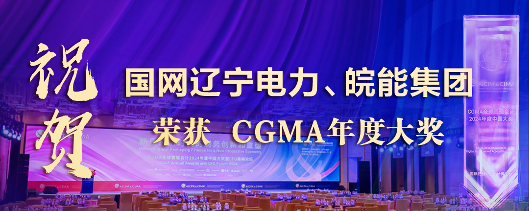 祝贺国网辽宁电力、皖能集团荣获“财界奥斯卡”CGMA年度大奖