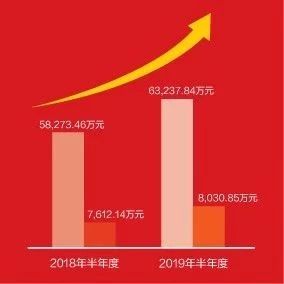 一图看懂凯发k8天生赢家一触即发软件2019年半年报