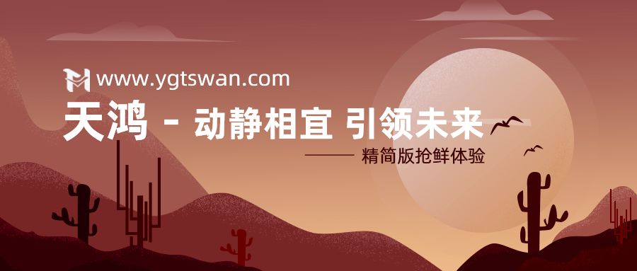 动静相宜，引领未来——凯发k8天生赢家一触即发天鸿1月1日正式上线！