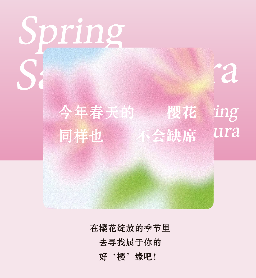 20240218-樱花新品推文-04.png